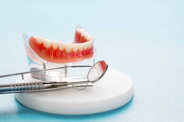 Best Dental X-Rays and Imaging  in Wendell, NC